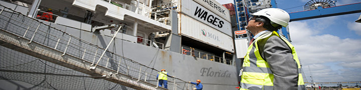 Image of a worker in a construction site helmet and neon vest looking up at a shipment of storage containers at a Florida port